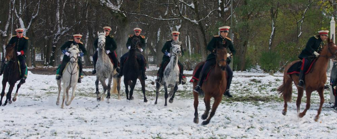 horses-img