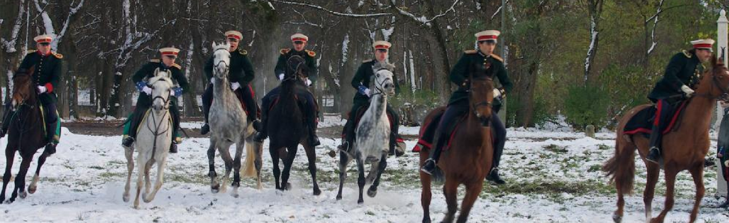 horses-img